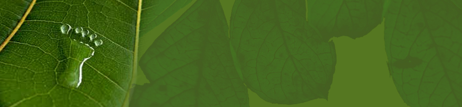 banner3